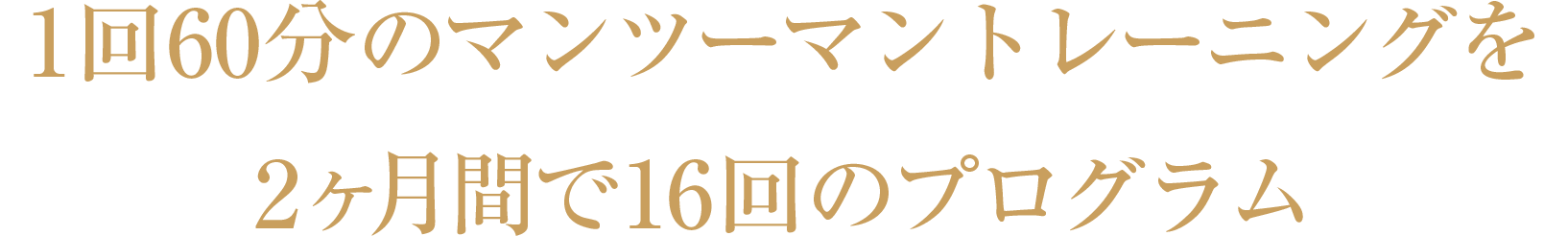 1回60分のマンツーマントレーニングを2ヶ月で16回のプログラム